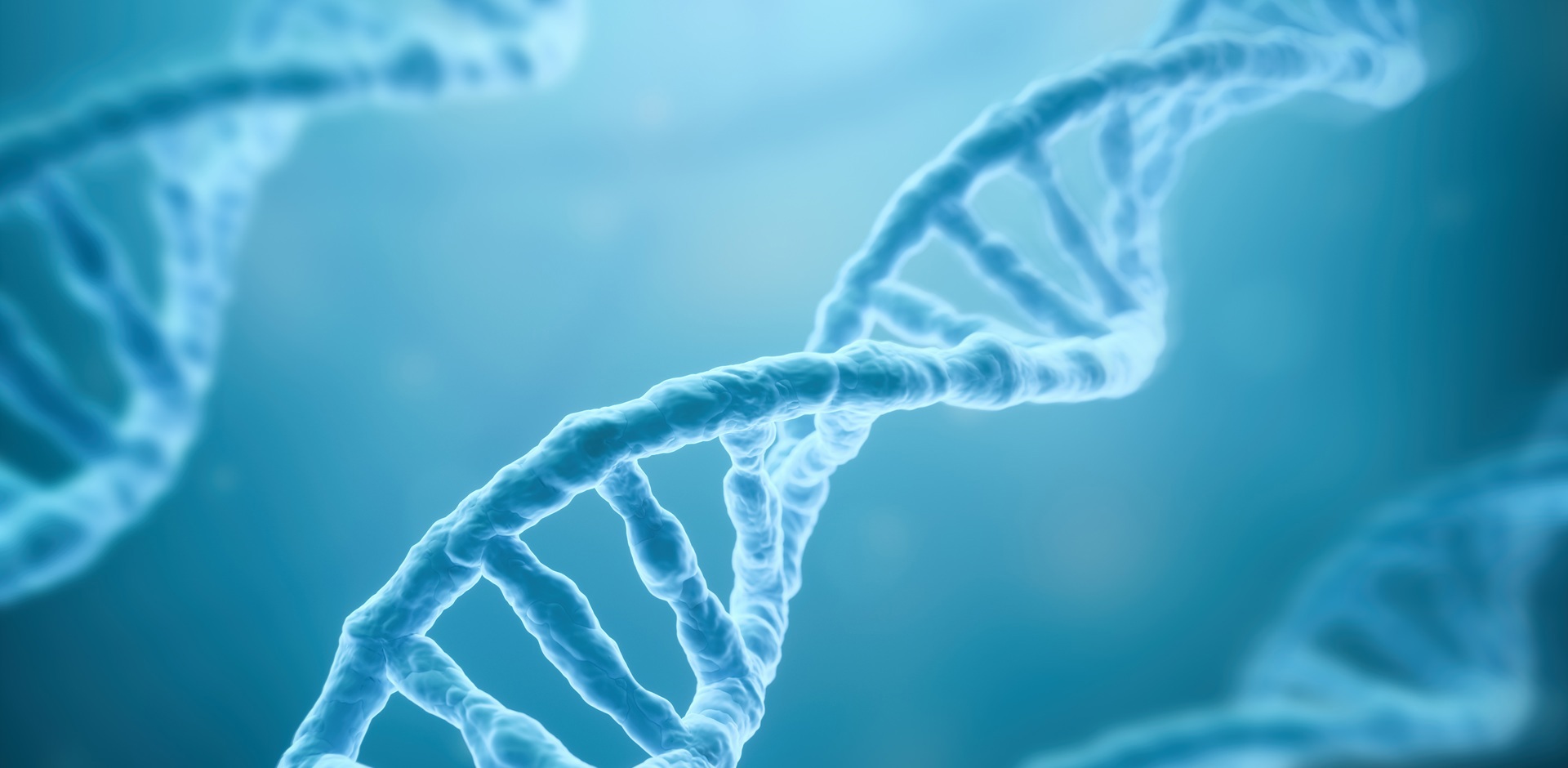 以人为本、追求卓越 引领健康、信守承诺